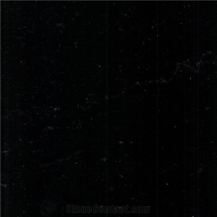 Black Absolut Marble importance=