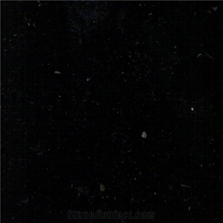 Black Absolut Marble Tile