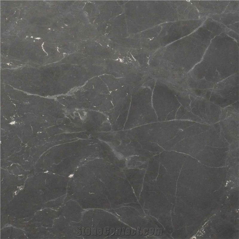 Black Diamond Quartzite Tile