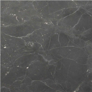 Black Diamond Quartzite Tile