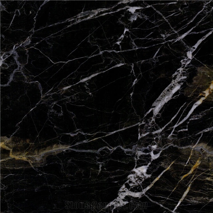 Black Paint Marble importance=