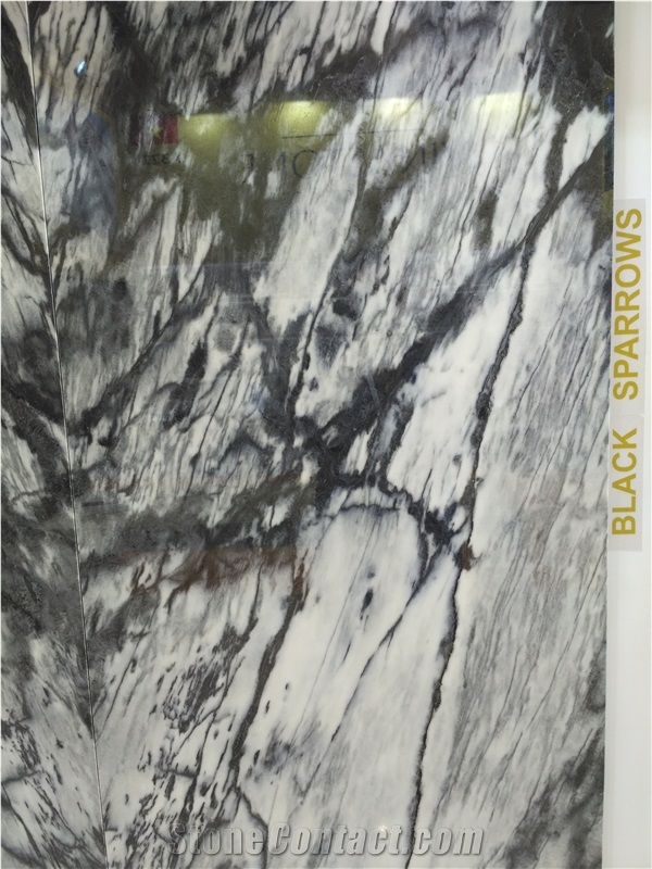 Black Sparrow Marble Slab