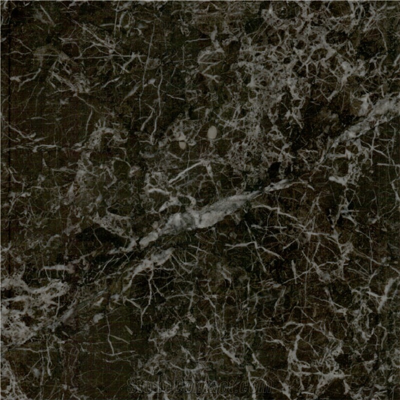 Black Star Marble Tile
