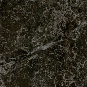 Black Star Marble Tile