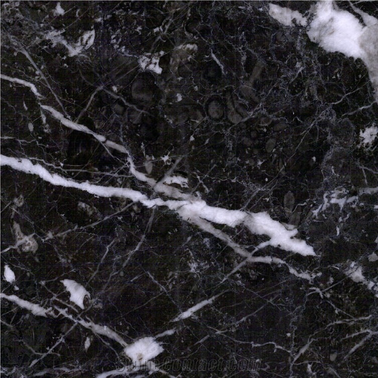 Black Symphony Marble Tile