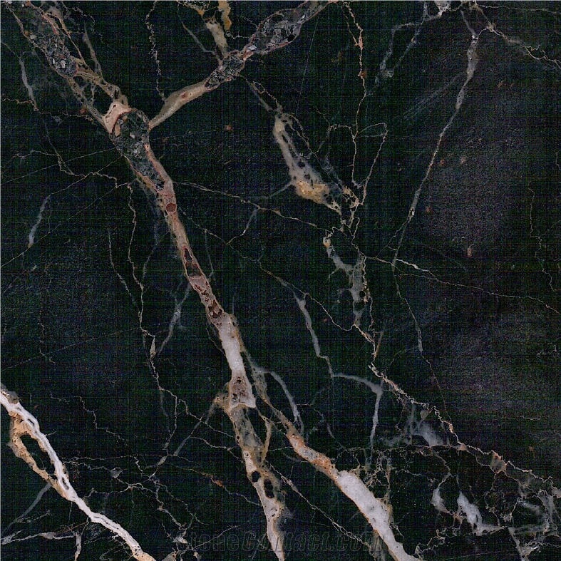 Black Tulip Marble Tile