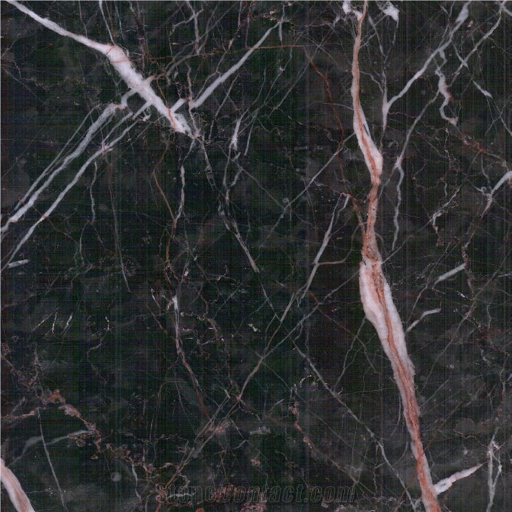 Black Tulip Marble Tile