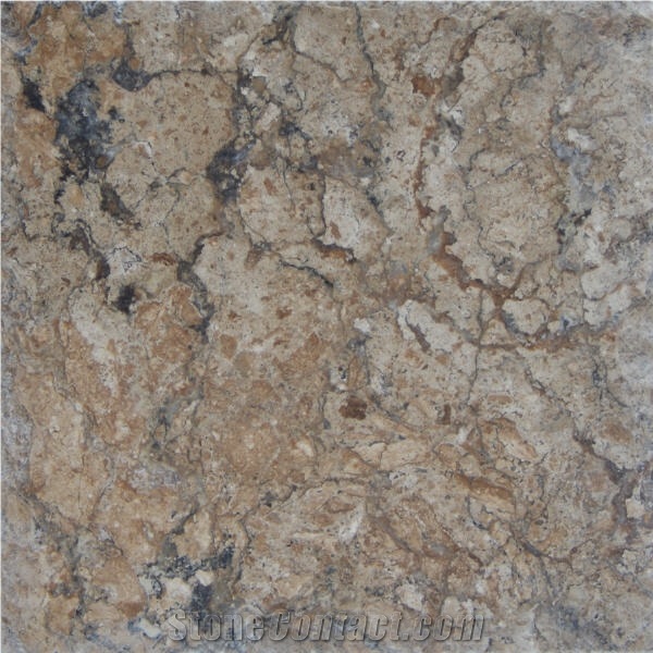 Black Walnut Travertine Tile