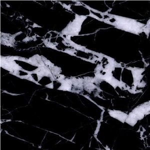 Black White Marble Tile