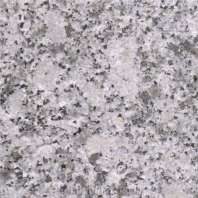 Blanco Amanecer Granite Tile