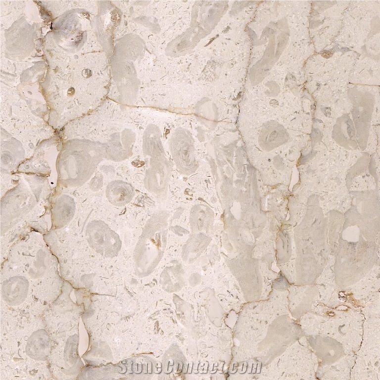 Blanco Perla Marble importance=