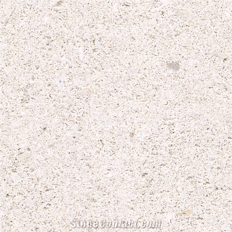 Blanco Rosal Limestone Tile