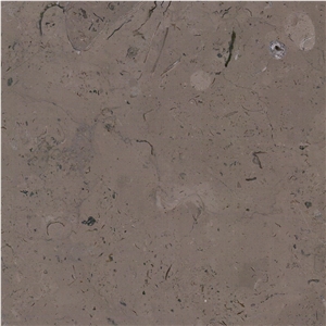 Blue Cad Tile