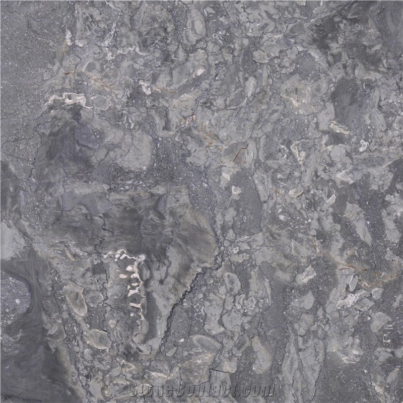 Blue Sea Tile