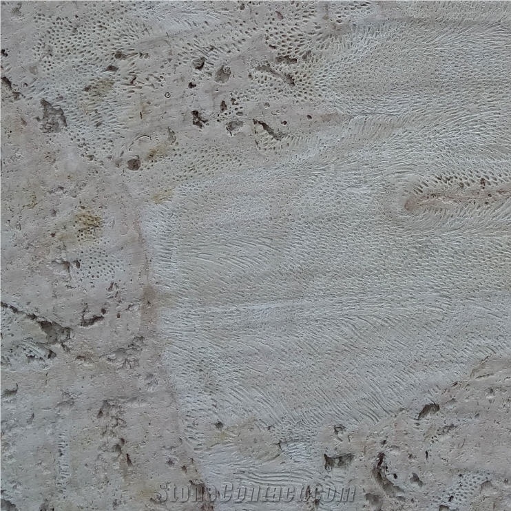 Boca Chica Coral Stone importance=