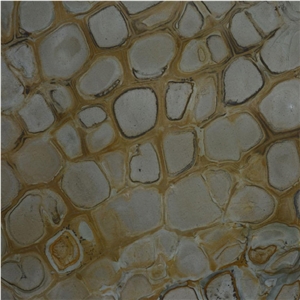 Fossil Quartzite Tile