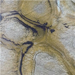 Fossil Quartzite Tile