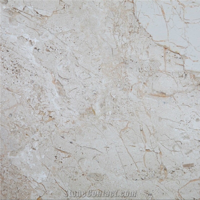Breccia Sarda Fiocco importance=