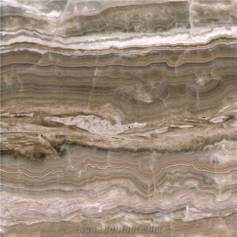 Brown Traonyx importance=