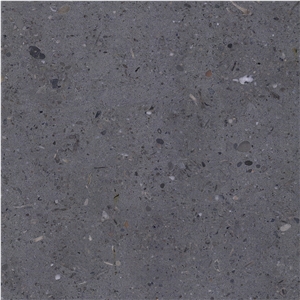 Bruck Limestone
