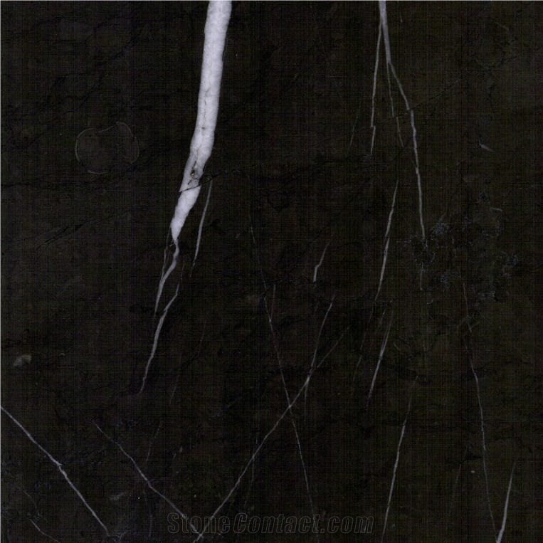 Bulgarian Grey Marble importance=