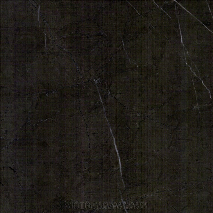Bulgarian Grey Marble Tile