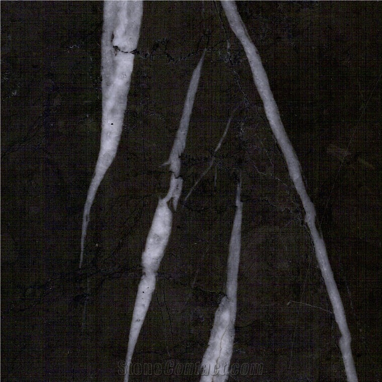 Bulgarian Grey Marble Tile