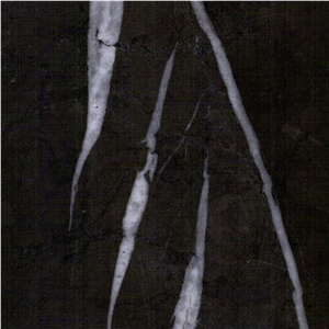 Bulgarian Grey Marble Tile