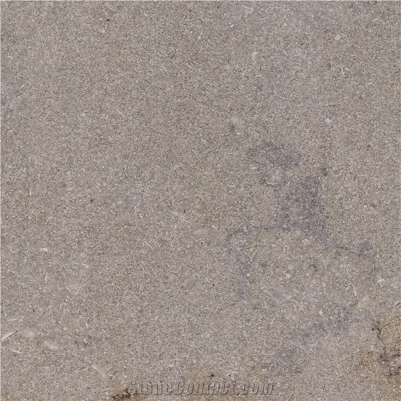 Buxy Gris Limestone importance=