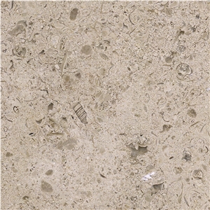 Cabeca de Veada Limestone Tile