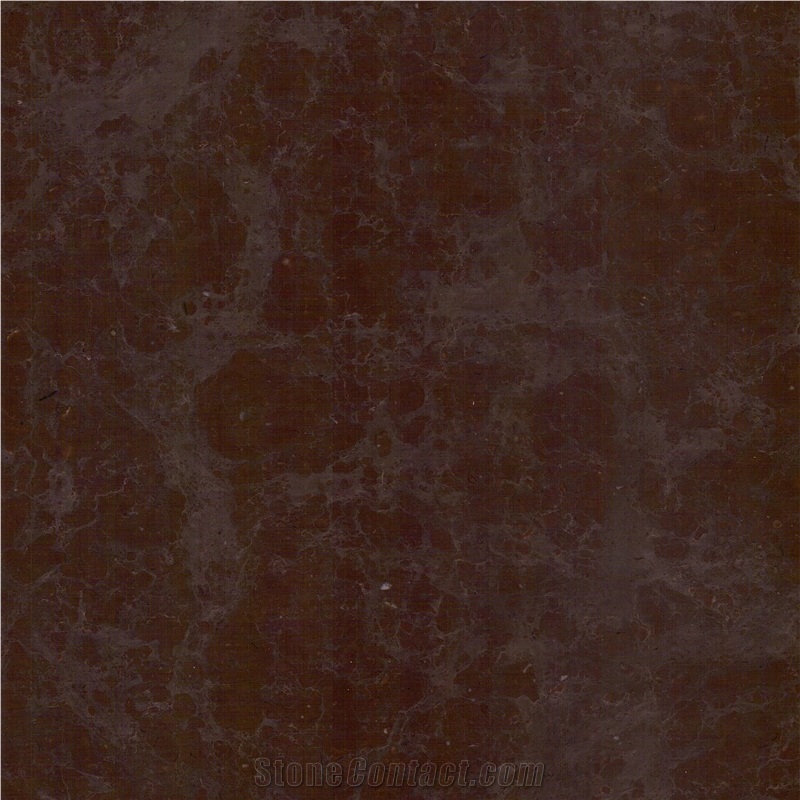 Cacao Brown importance=