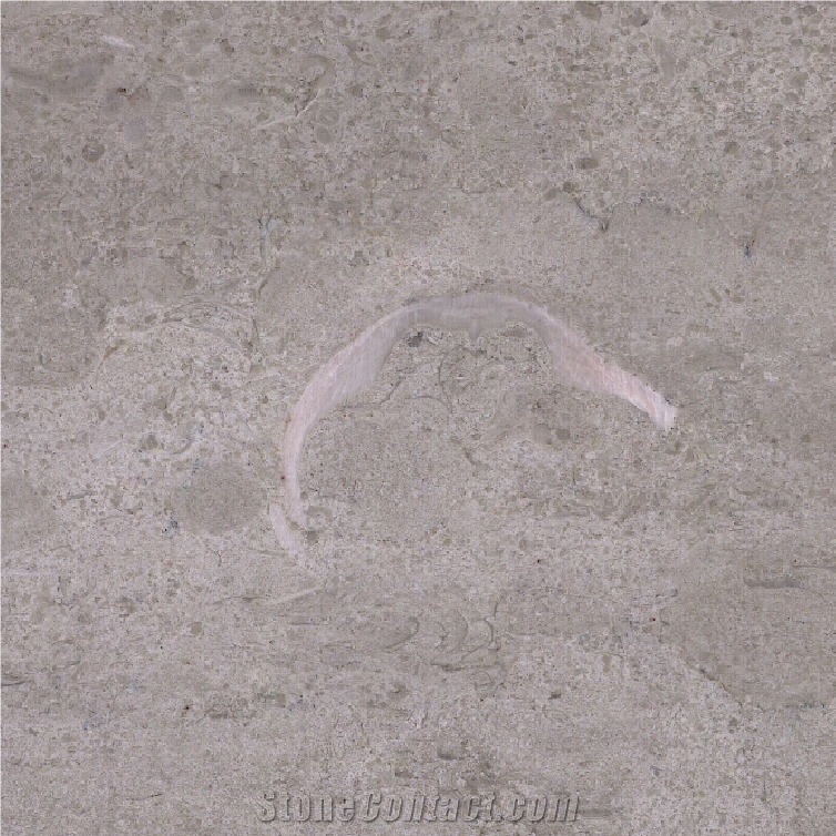Caesar Grey Marble Tile