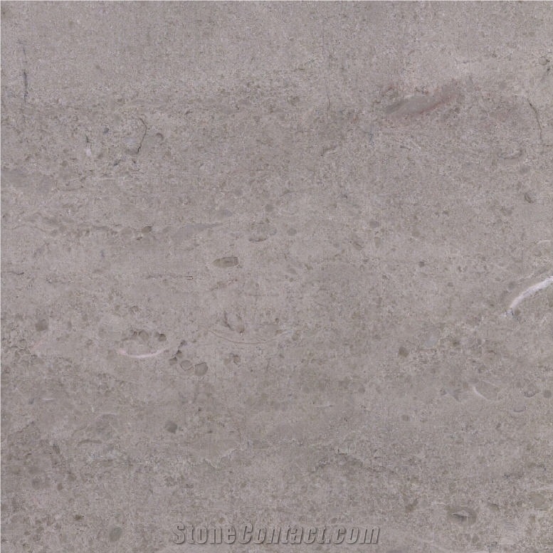 Caesar Grey Marble Tile