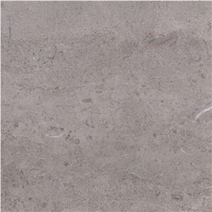Caesar Grey Marble Tile