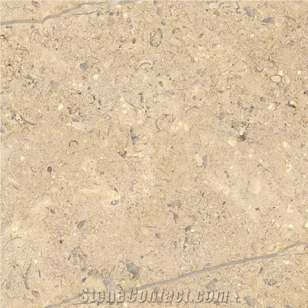 Cafe Faraon Limestone importance=