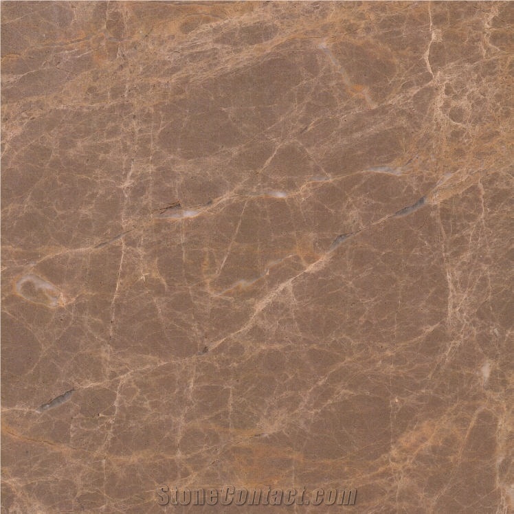 Cafe Latte Brown importance=