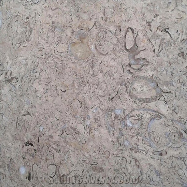 Cafe Upar Limestone importance=