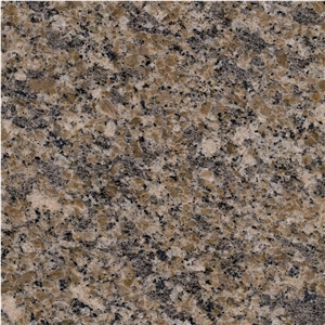 Caggiano Gold Granite
