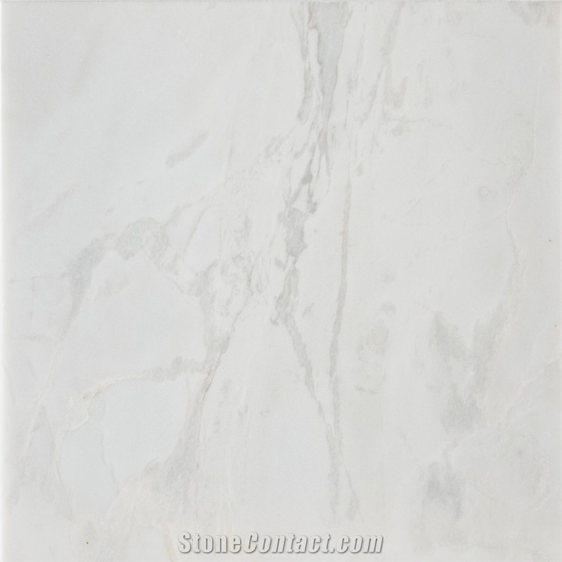 Calacatta Ango Tile