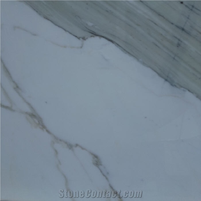 Calacatta Bettogli Tile