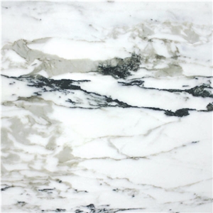 Calacatta Black Vein Marble
