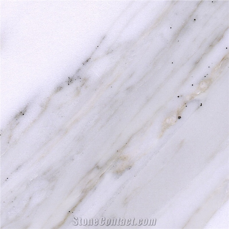Calacatta Carrara Marble Tile