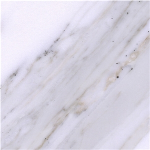 Calacatta Carrara Marble Tile