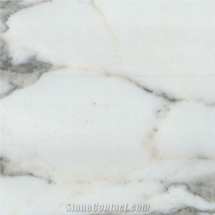 Calacatta Dior Tile