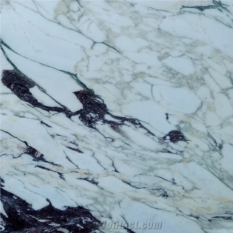 Calacatta Favoloso Tile