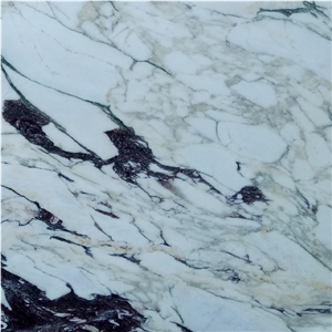 Calacatta Favoloso Tile