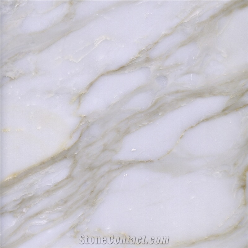 Calacatta Gold Marble Tile