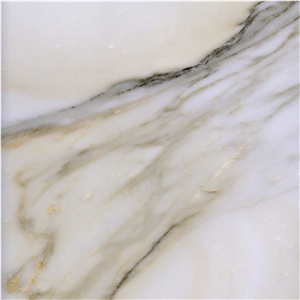 Calacatta Gold Marble Tile