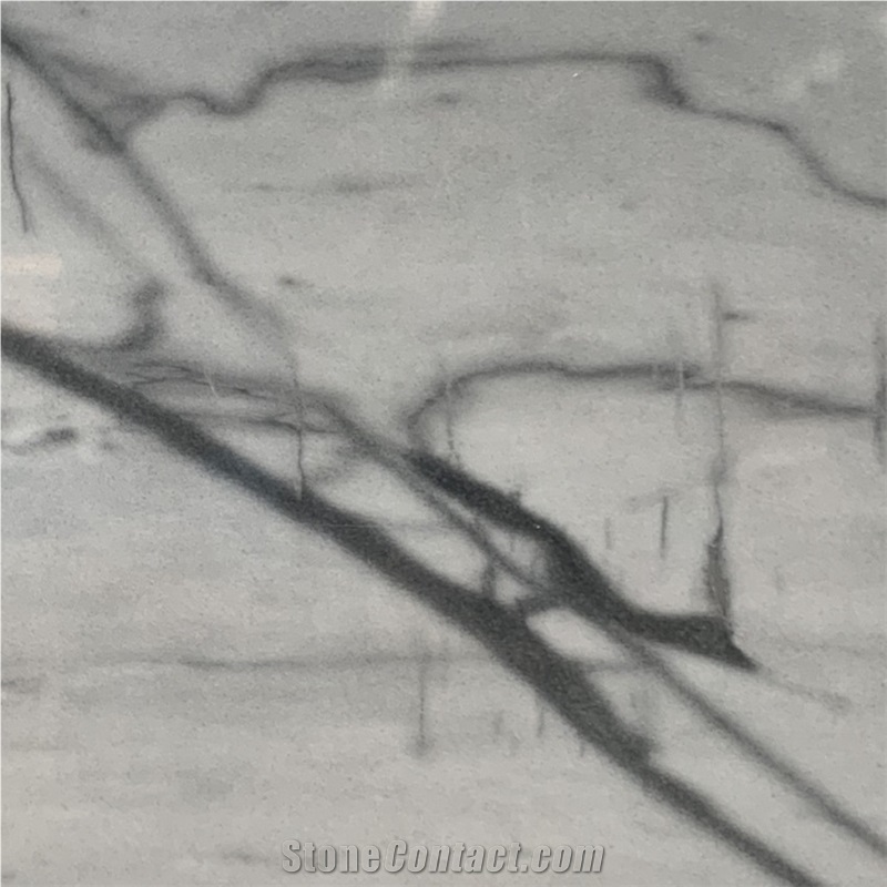 Calacatta Joyce Marble importance=