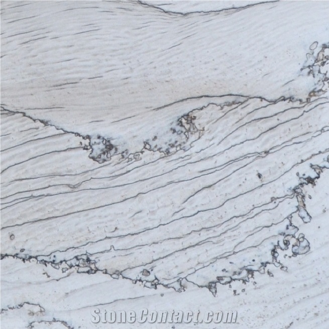Calacatta Latte Quartzite importance=